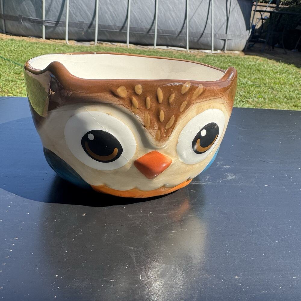 Earthenware Woodland Animal Owl Bowl Cereal Soup